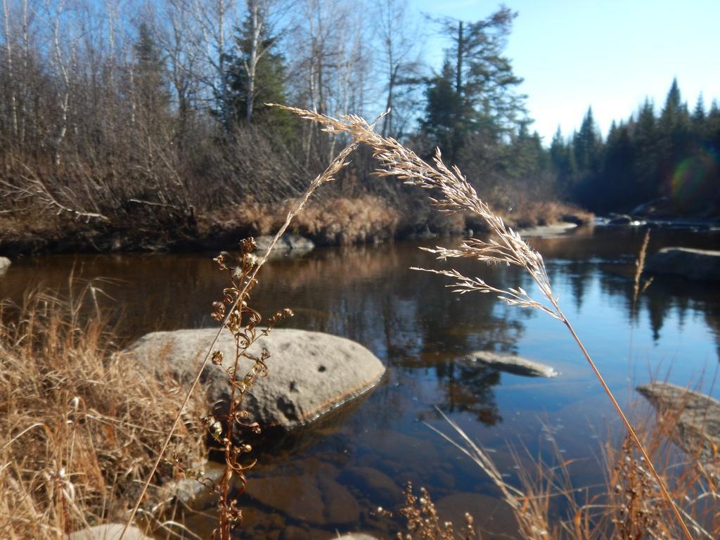 Aux Tipis De La Riviere Sauvage Villa Saint Romain Dış mekan fotoğraf